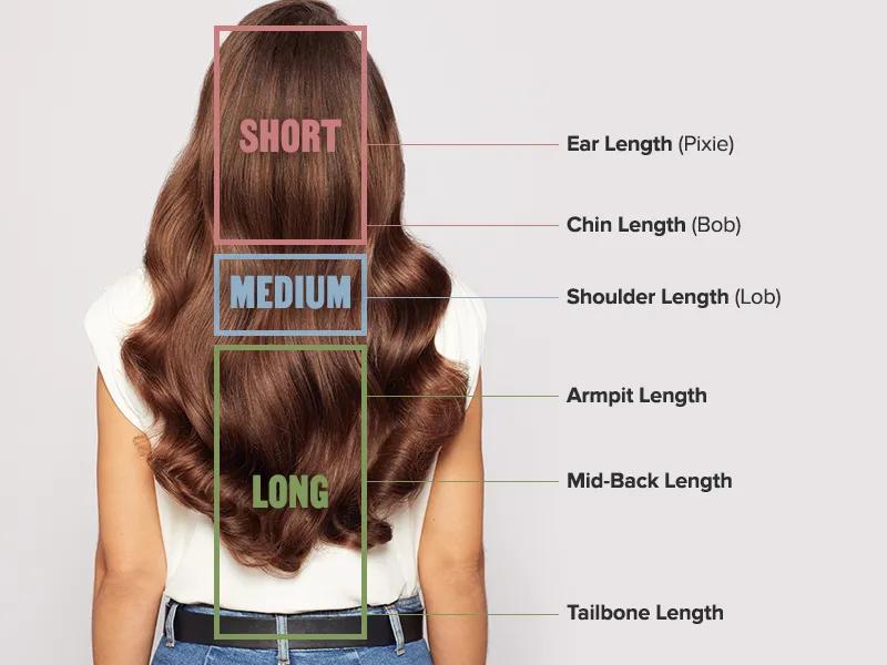 image of the back of a woman's head depicting different hair lengths
