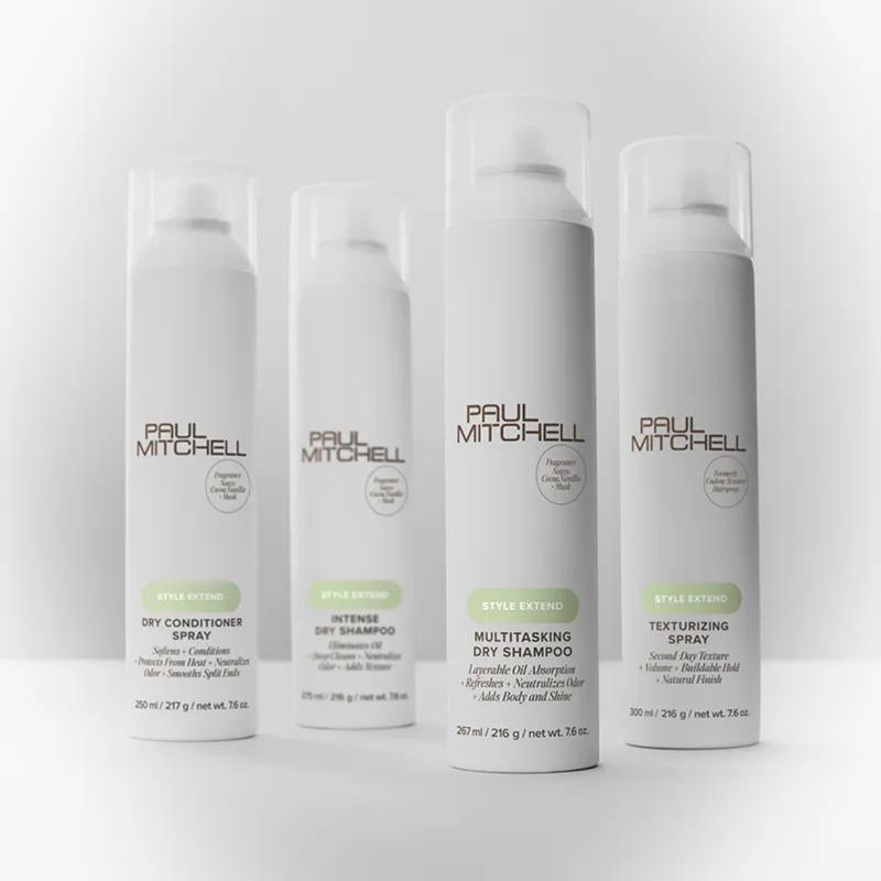artistic image of Paul Mitchell Style Extend products