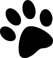 Paul Mitchell Pet Color Logo